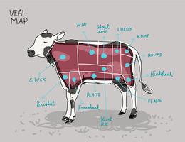Illustrazione disegnata a mano di vettore della mappa del taglio del vitello
