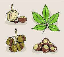 Illustrazione vettoriale disegnato a mano Buckeye