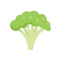 eco broccoli icona piatto vettore. azienda agricola agricoltura vettore