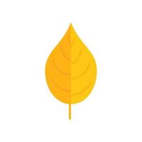 giallo autunno foglia icona piatto vettore. albero pianta vettore