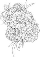 disegnato a mano dianthus-caryophyllus, garofano fiore mazzo, vettore schizzo illustrazione inciso inchiostro arte botanico foglia ramo collezione isolato su bianca sfondo colorazione pagina e libri.