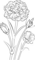 fiorire garofano fiori e ramo vettore illustrazione. mano disegno vettore illustrazione per il colorazione libro o pagina nero e bianca inciso inchiostro arte, per bambini o adulti.