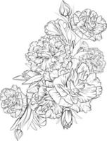 impostato di un' decorativo stilizzato garofano fiore isolato su bianca sfondo. altamente dettagliato vettore illustrazione, scarabocchiare e zentangle stile, tatuaggio design fiorire dianthus-cariofillo, fiori.
