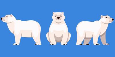 orso polare in diverse angolazioni vettore