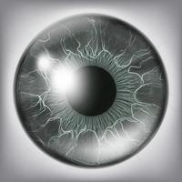 umano occhio iris vicino su vettore. salutare medico concetto illustrazione vettore