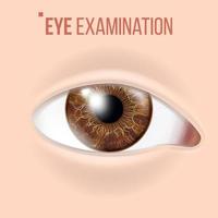 umano occhio vettore. visione concetto. clinica medico occhio diagnostico. realistico dettaglio illustrazione vettore