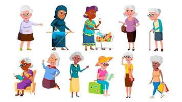 collezione di multiculturale vecchio nonna impostato vettore