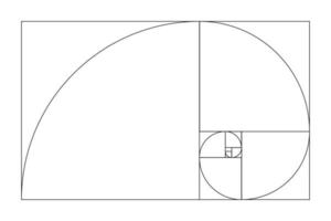 d'oro rapporto modello. fibonacci Vettore, numeri. d'oro proporzioni. vettore