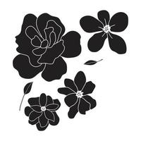 arte collezione di naturale floreale erbaceo le foglie fiori nel silhouette stile. decorativo bellezza elegante illustrazione per mano disegnato floreale design vettore