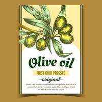 oliva extra vergine biologico Prodotto etichetta vettore