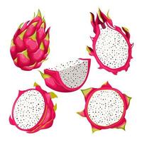 Drago pitaya frutta impostato cartone animato vettore illustrazione