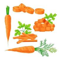 carota verdura impostato cartone animato vettore illustrazione