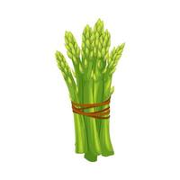 asparago verde cartone animato vettore illustrazione
