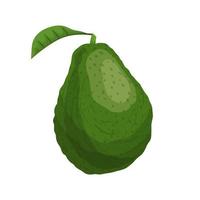 avocado cibo cartone animato vettore illustrazione