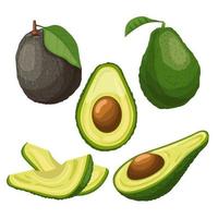 avocado cibo fresco impostato cartone animato vettore illustrazione