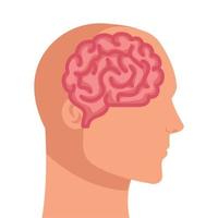 sagoma del profilo umano con il cervello, su sfondo bianco vettore