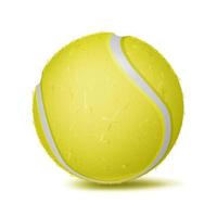 tennis palla vettore. sport gioco, fitness simbolo. illustrazione vettore