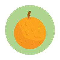 arancia fresco e salutare frutta su il giro telaio vettore