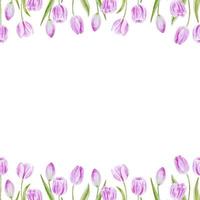 rosa tulipani primavera fiori senza soluzione di continuità telaio acquerello mano disegnato per inviti, tovaglioli e arredamento vettore
