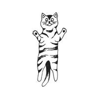 carino mano disegnato gatto nel salto movimento su bianca sfondo. vettore adorabile animali nel di moda scandinavo stile. divertente, carino, hygge illustrazione per manifesto, striscione, Stampa, decorazione bambini stanza dei giochi.