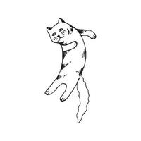 carino mano disegnato gatto nel salto movimento su bianca sfondo. vettore adorabile animali nel di moda scandinavo stile. divertente, carino, hygge illustrazione per manifesto, striscione, Stampa, decorazione bambini stanza dei giochi.