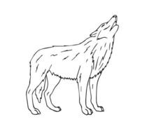 mano disegnato lupo vettore
