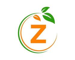 lettera z eco logo concetto con foglia simbolo vettore