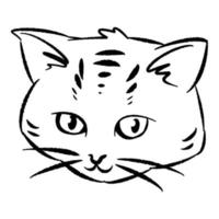 mano disegnato illustrazione di gatto viso con paffuto guance. linea arte, nero schema. carino gattino cartone animato carattere. scarabocchio schizzo. Perfetto per Stampa, manifesto, saluto carta. vettore