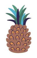 tropico frutta e prodotti, ananas pianta vettore