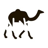 cammello icona vettore glifo illustrazione