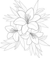 nero e bianca schema vettore colorazione libro pagina per adulti e bambini fiori gigli lilium con le foglie. bouquet di lilys colorazione pagina.