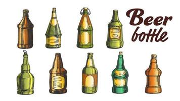 mano disegnato vuoto colore birra bottiglia impostato vettore