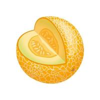 melone giallo cartone animato vettore illustrazione
