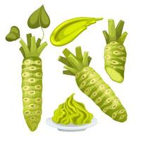 wasabi asiatico Giappone impostato cartone animato vettore illustrazione