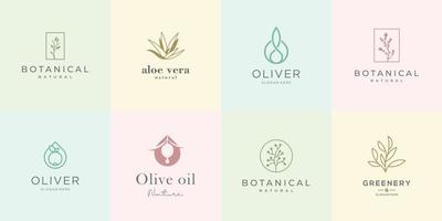 femminile design logo collezione. elegante Rose, botanica, aloe vera, oliva olio, verdura e natura. vettore