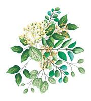 fiori boccioli bianchi con pittura bouquet di foglie vettore