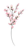 pittura di bouquet di fiori rosa boccioli vettore