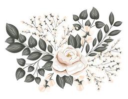 fiore rosa bianca con boccioli e foglie pittura vettore