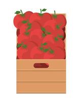 pomodori all'interno del design della scatola vettore