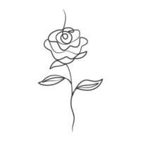 rosa fiore nel continuo linea arte disegno stile vettore