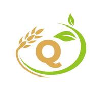 lettera q agricoltura logo e agricoltura logo simbolo design vettore