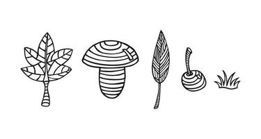 mano disegnato scarabocchio natura impostare. di foglia, fungo, bacca, erba, ciliegia, acero. vettore
