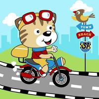 divertente gatto equitazione motociclo nel il strada, uccello perching su strada cartello, città strada, vettore cartone animato illustrazione