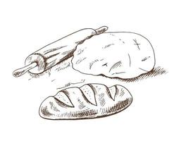 vettore mano disegnato schizzo illustrazione di Impasto, rotolamento spillo, Farina e pagnotta di pane. disegno isolato su bianca sfondo. schizzo icona e forno elemento.