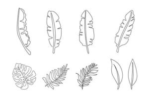 impostato di tropicale floreale le foglie disegnato nel uno linea. vettore illustrazione isolato su bianca sfondo. disegno un' continuo linea. linea stile.