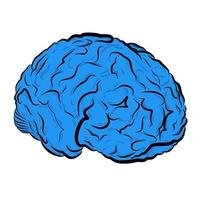 umano cervello vettore disegno
