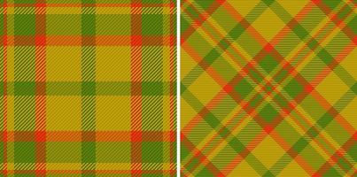 tartan dai un'occhiata senza soluzione di continuità. plaid modello tessuto. tessile sfondo struttura vettore. vettore