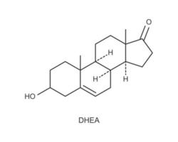 dhe icona. deidroepiandrosterone ormone chimico molecolare struttura cartello vettore