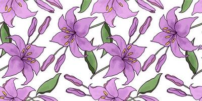 lilly mano disegnato fiore vettore