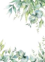 eucalipto telaio acquerello, floreale telaio, verdura telaio, floreale disposizione, verde le foglie composizione vettore